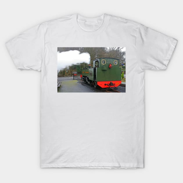 Steam Up at Devil's Bridge, February 2020 T-Shirt by RedHillDigital